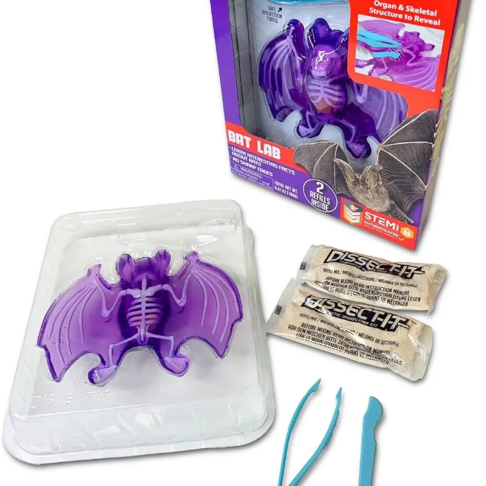 NEW Dissect-it Synthetic Lab Dissection Toy STEM KIT CRAFT Project Bat Biology A